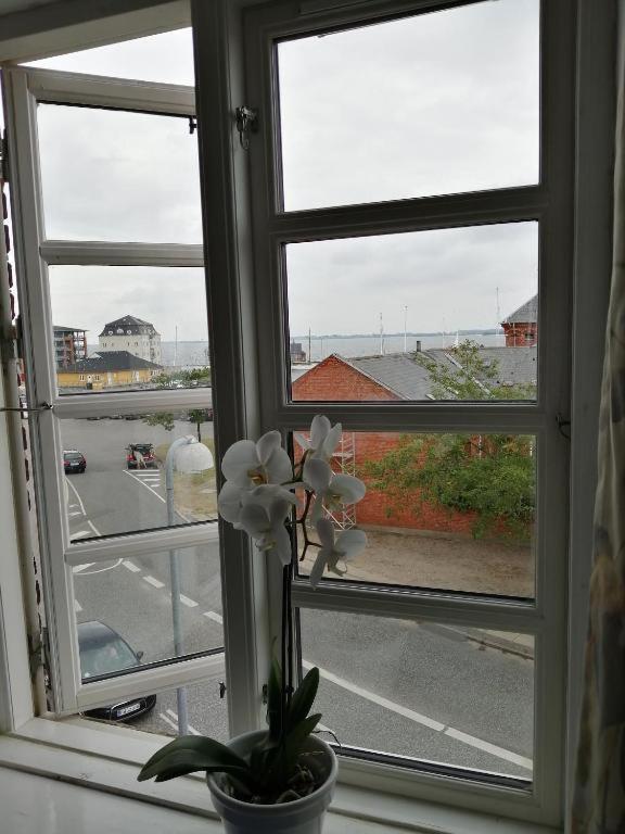 Det Gamle Hotel Rudkøbing 외부 사진